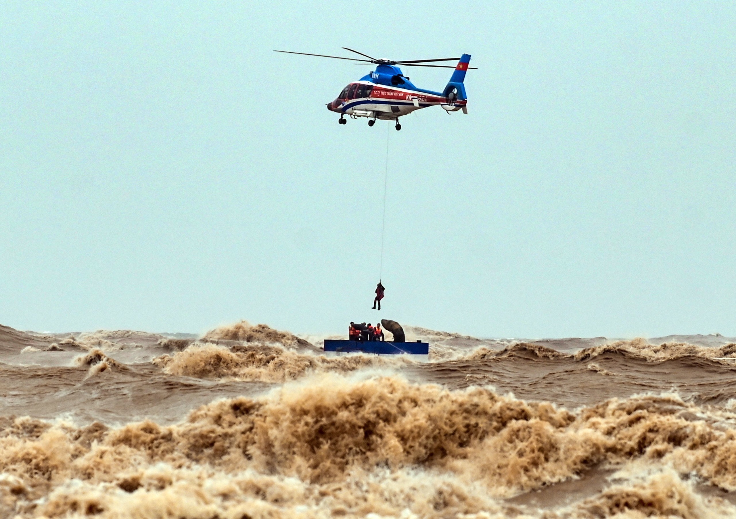 Bay treo trên sóng bạc đầu...